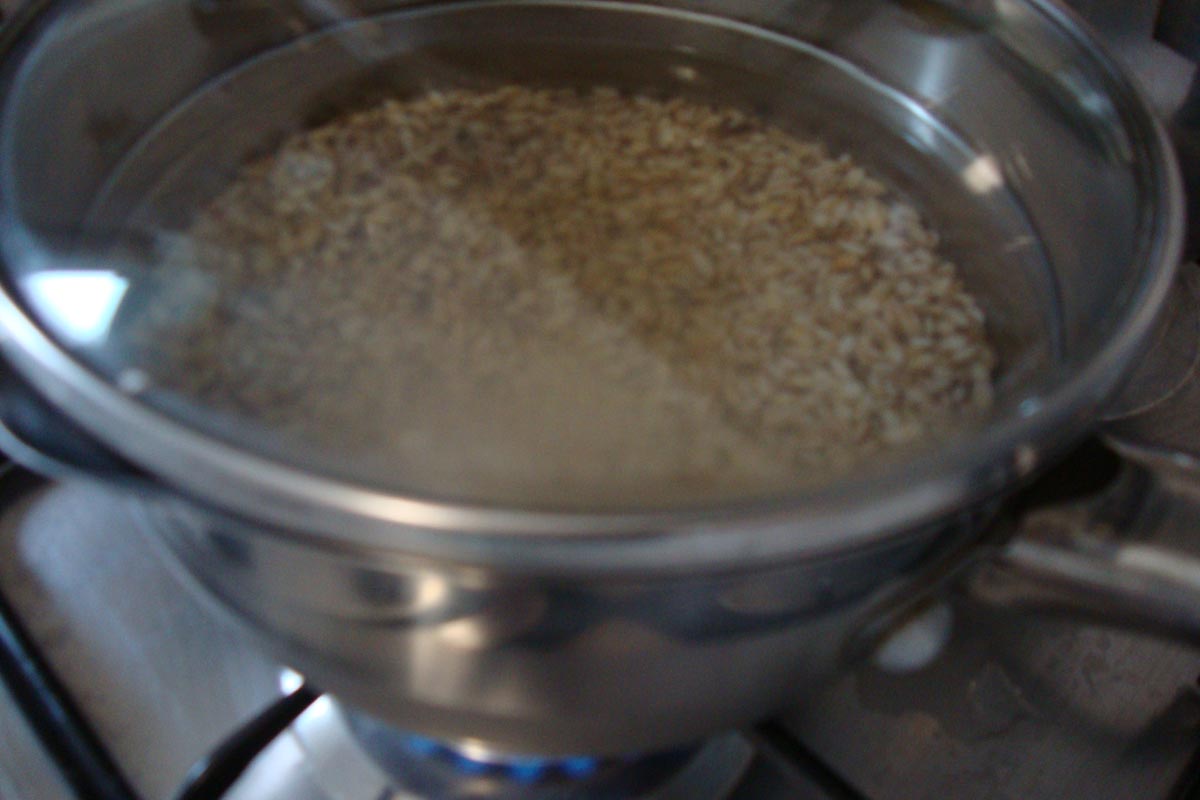 l'orge est bouillie