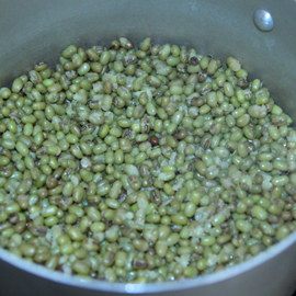 prêt mung haricot mungo bouilli