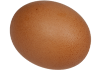 csirke tojás