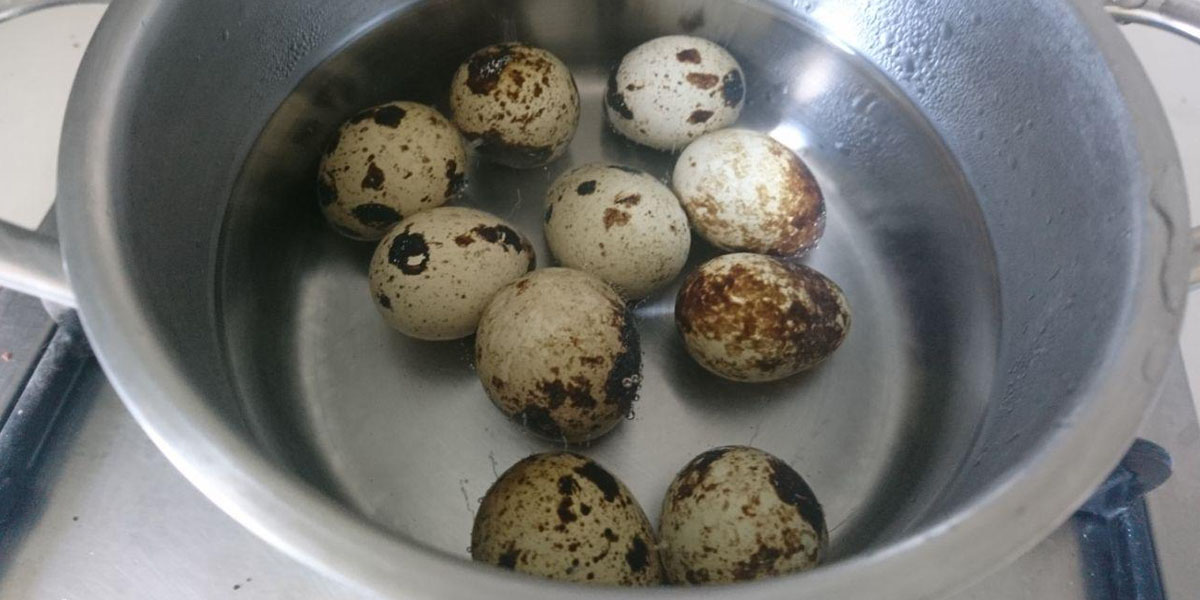 verser les œufs de caille avec de l'eau