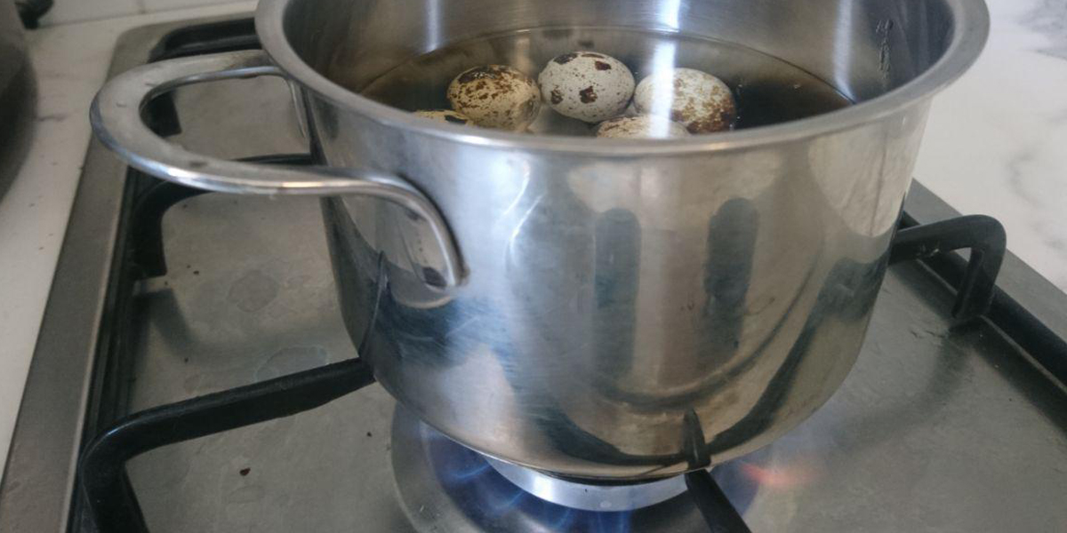 les œufs de caille sont bouillis