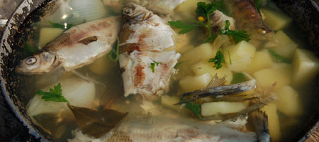 poisson combien cuire le poisson
