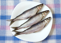 vendace