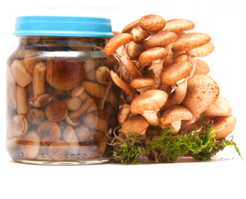 champignons champignons champignons salés