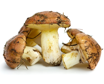 faire cuire les cèpes combien cuire le beurre