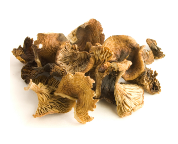 champignons séchés champignons séchés