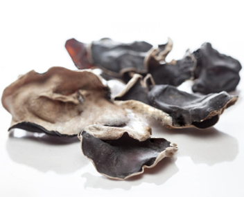 champignons chinois champignons ligneux