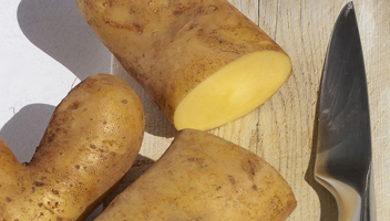 dois-je éplucher les pommes de terre s'il faut éplucher les pommes de terre