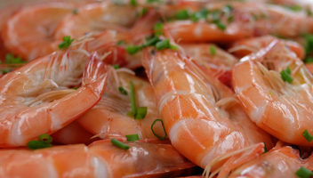 ajouter du sel aux crevettes ajouter du sel aux crevettes