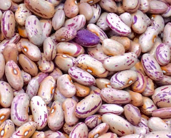 fagioli grossolani fagioli grossolani