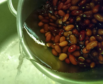 fagioli avvizziti fagioli avvizziti