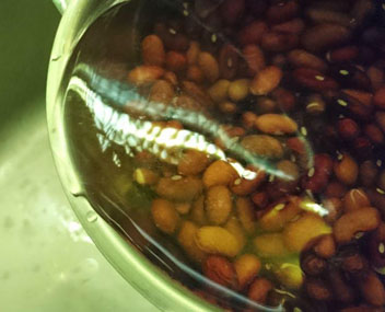 fagioli fermentati fagioli fermentati