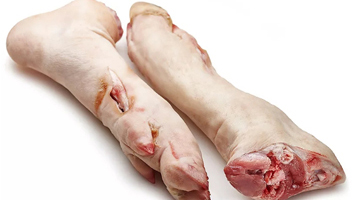 Schweinebeingelee Schweinebeingelee