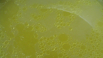 gelée gelée
