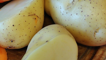 Kartoffeln für Olivier Kartoffeln für Olivier
