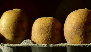 la pomme de terre flottante convient-elle si les pommes de terre surgissent