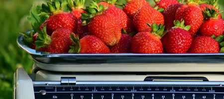 fraise fraise