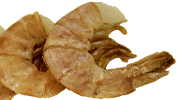 crevette crevette