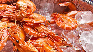 crevettes sur glace crevettes sur glace