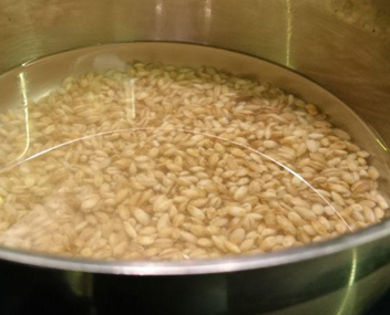 bouillon d'orge bouillon d'orge