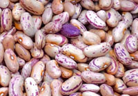 fagioli grossolani