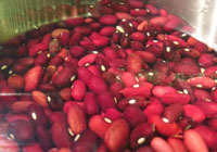 fagioli