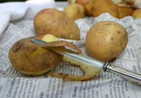 Patate