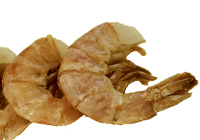 crevette