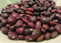 non inzuppare i fagioli
