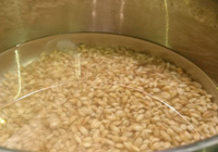 bouillon d'orge