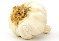 champignons au miel