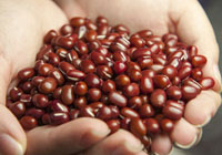 fagioli in ammollo