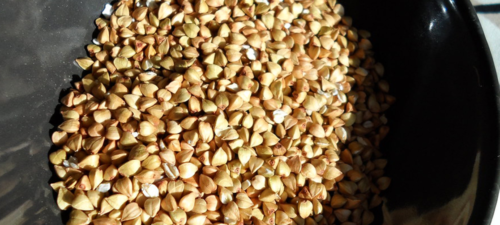 sarrasin sarrasin