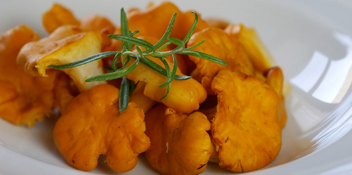est-ce que la soupe aux chanterelles est faite les chanterelles conviennent-elles aux soupes