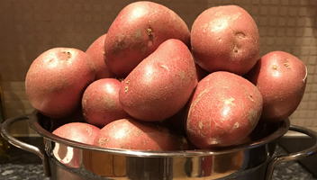eau pour faire bouillir les pommes de terre dans quelle eau mettre les pommes de terre