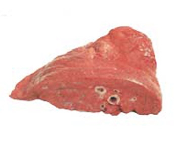 wie viel Rindfleisch Lunge zu kochen