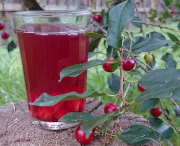 compote de cerises