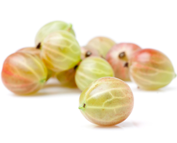comment faire cuire la compote de groseille