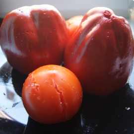 tomates et poivrons cuits au four