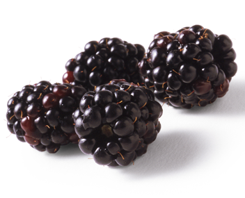 Brombeermarmelade machen