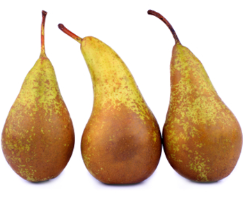 Birnenmarmelade machen