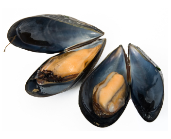 cuanto cocinar mejillones