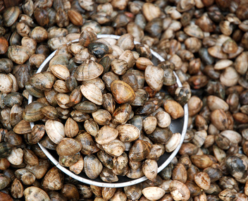 combien cuire vongole