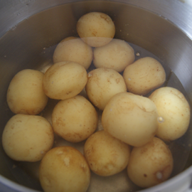 Les pommes de terre sont bouillies dans une casserole Les pommes de terre sont cuites dans leur uniforme